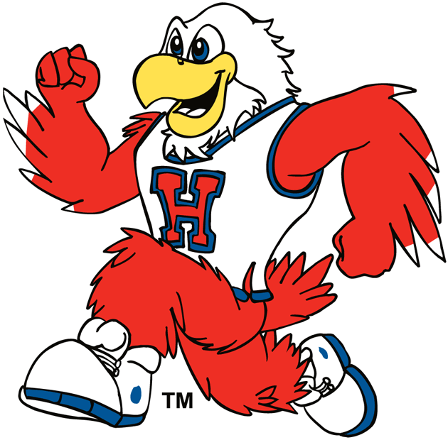 hartford hawks 1984-pres mascot logo iron on transfers for fabric fabric transfer